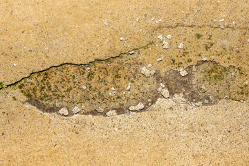 road pit and cracks on the asphalt close-up macro. Background texture