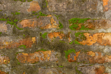 background texture old stucco wall with cracks. Close-up, macro