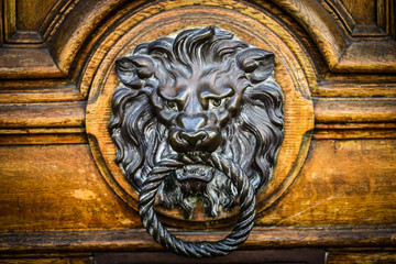 old doors close up view