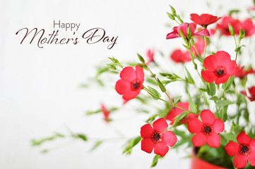 Happy Mothers Day card with bunch of red flowers