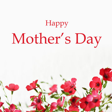 Happy Mothers Day card with border of red flowers
