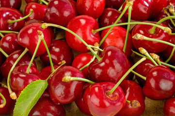 studio shot of cherries on pile