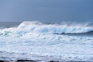 wild sea