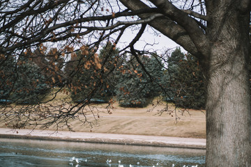 sugar house park in salt lake city