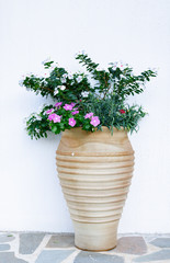large vase, beautiful, garden, with flowering plants against a white wall, closeup