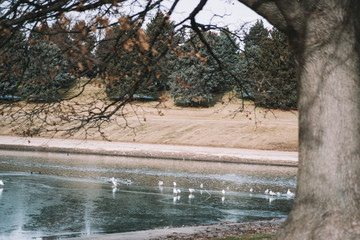 sugar house park in salt lake city