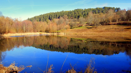 schöne Spiegelung am natürlichen Gültlinger See im Schwarzwald im Frühling