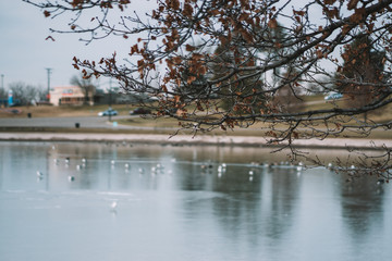 sugar house park in salt lake city