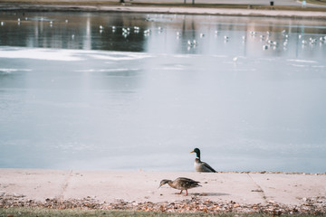 sugar house park in salt lake city