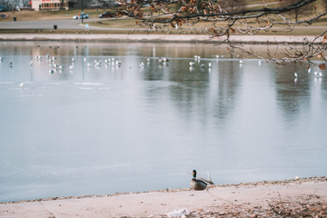 sugar house park in salt lake city