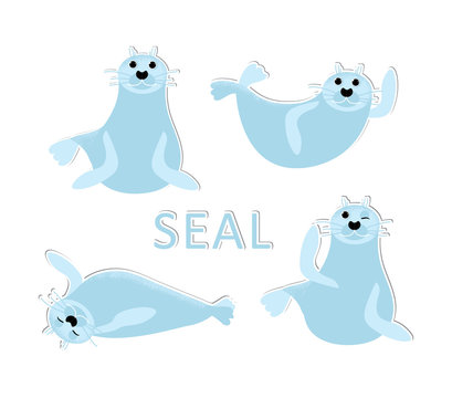 Set of isolated seal animal