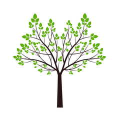 Vector Tree and green Leaves. Vector Illustration and graphic element. Plant in Garden.