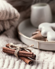 Cinnamon sticks on a soft plaid Lifestyle. The atmosphere of coziness and comfort.