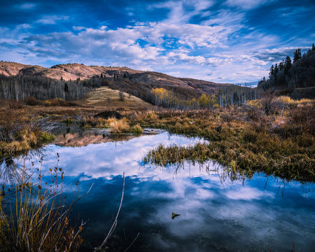 Cloud Reflections In Pond Near Snowbasin Ski Resort, Utah