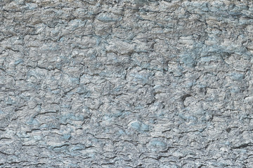 Pine bark close up. Background with tree bark texture for sites and layouts. Toned photo.