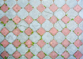 Texture of red and grey road tiles on city street pavement, grow grass in mortar