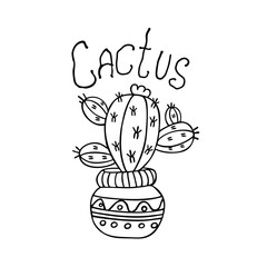 graphic drawing of a cactus in a pot with the inscription. picture for coloring