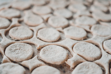 Rolled dough with sliced circles for dumplings, texture.
