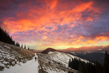 Fototapety na wymiar - Fototapeta24.pl