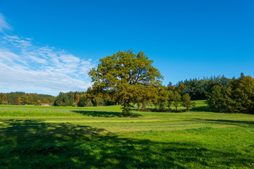 Bayrische Landschaft im Herbst