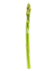 Fototapeta premium asparagus isolated on white background, clipping path, full depth of field
