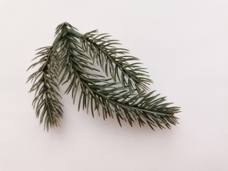 Beautiful neat twig of spruce on a white background. Close-up photo. Top view. Pattern with spruce...