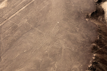 humminbird nazca lines
