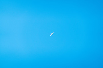 Flugzeug auf blauem Himmel - copy space