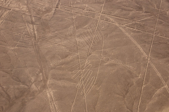 condor nazca lines