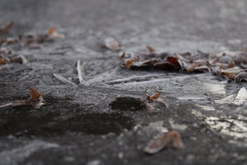 ice on a rock