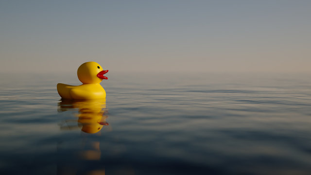 yellow duck in the water