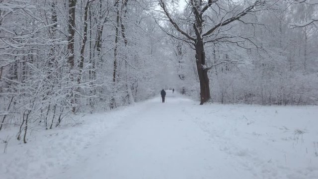 Moscow, Russia - 11 January, 2020: a couple of people walking slowly under a black umbrella along a path during a snowy day in a public park