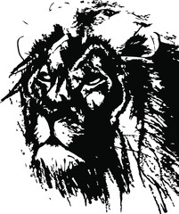 Hand drawn wild lion. Vector. Head