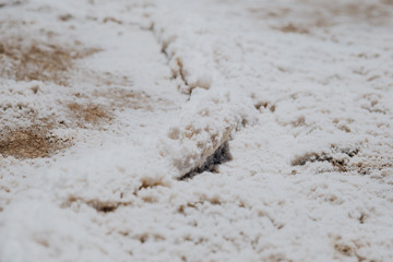 Pierre de sel à badwater dans le désert de la death valley