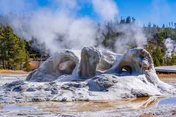 Grotto Geyser, Yellowstone National Park, Wyoming - Powered by Adobe