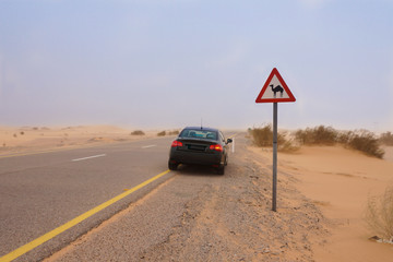 The car in dessert stopped next to sign warning about camels crossing the road