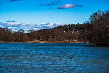 lake in the forest
