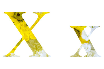 Capital, or upper case, and lower case letter of the English alphabet. Text cutout floral motiff with various yellow and white chrysanthemums and baby's breath