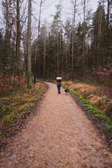 Obraz premium One woman in a green coat & woolen hat walking two dogs down a pine forest path. Taken in winter in Bavaria, Germany.