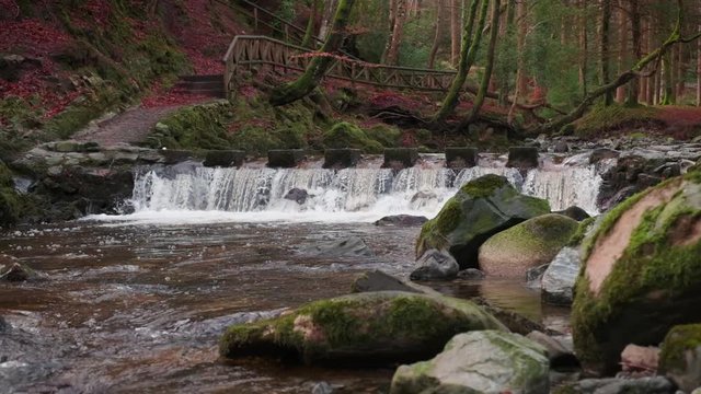 Scenic Slow motion HD video of Tollymore forest mountain stream and surroundings, Tollymore Forest park, Northern Ireland