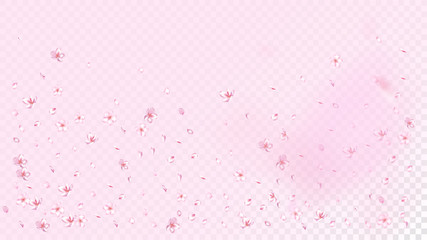 Nice Sakura Blossom Isolated Vector. Realistic Showering 3d Petals Wedding Paper. Japanese Blurred Flowers Wallpaper. Valentine, Mother's Day Watercolor Nice Sakura Blossom Isolated on Rose