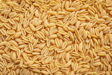 Fusilli pasta background. Seamless pattern. 