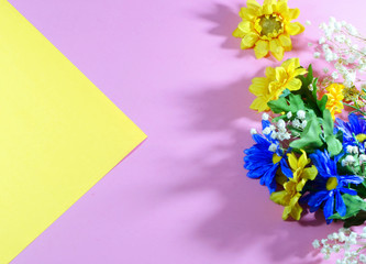 Pink and yellow color block design with floral accent. Harsh lighting and hard shadows enhance pop art vibe.