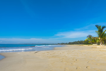 Tropical Pasikuda beach with golden sand and palm trees on the island of Sri Lanka. Turquoise sea with a low tide.