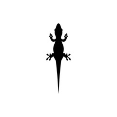 lizard vector 