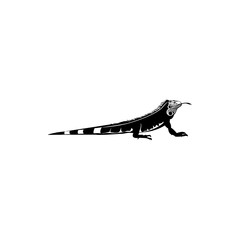 iguana vector