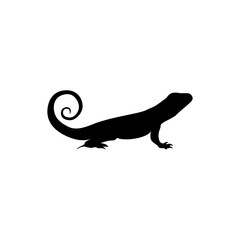 lizard vector 