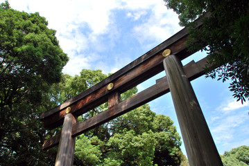 暑さの残る秋口の明治神宮の風景