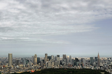 Fototapeta premium Panoramic view of Shinjuku skyscrapers