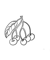 vector illustration of cherry fruit coloring for children